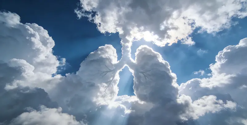 株洲肺癌靶向39基因检测及PDL122C3表达检测套餐（组织）图片1