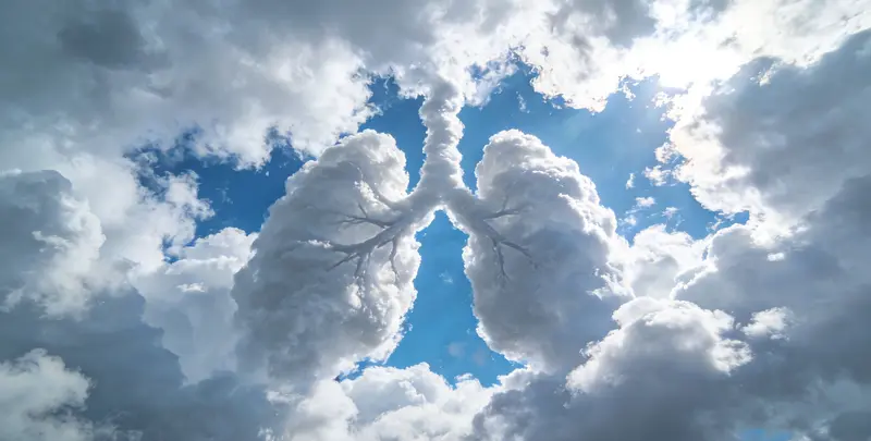 肺癌靶向39基因检测及PDL122C3表达检测套餐（组织）图4