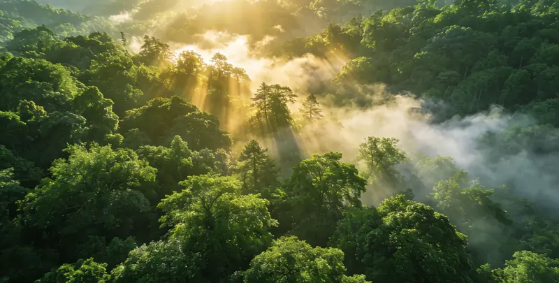 株洲肺癌172基因检测图片1
